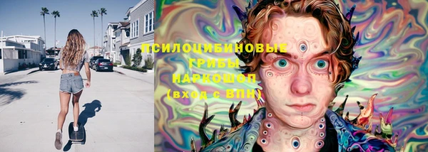 mdma Няндома