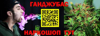 apvp Канаш