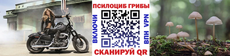 Галлюциногенные грибы мицелий  кракен как войти  Луховицы  где купить наркотик 