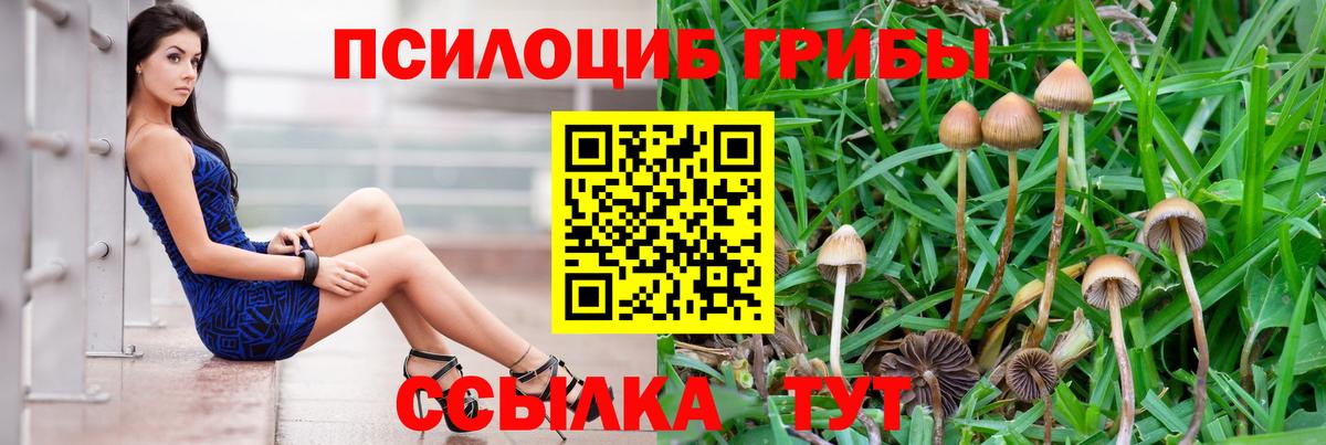 Галлюциногенные грибы прущие грибы  Вход с VPN  Луховицы 