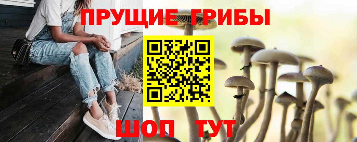 Галлюциногенные грибы Psilocybine cubensis  даркнет сайт  Луховицы 