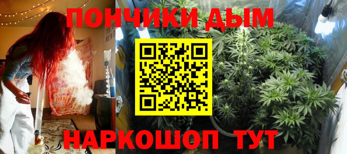 Бошки Шишки семена  Бошки Шишки White Widow  Луховицы 